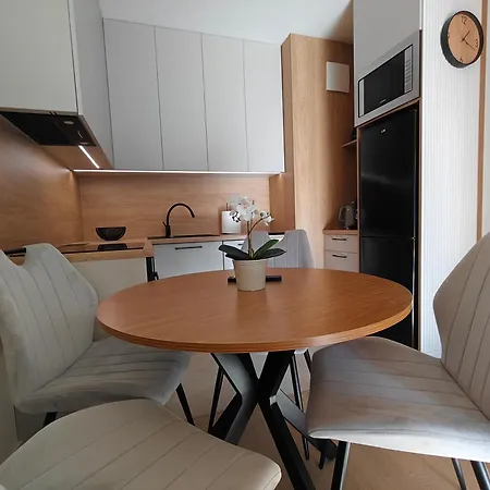 Faro Style-house 公寓 格但斯克