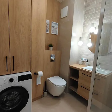 Faro Style-house 公寓 格但斯克